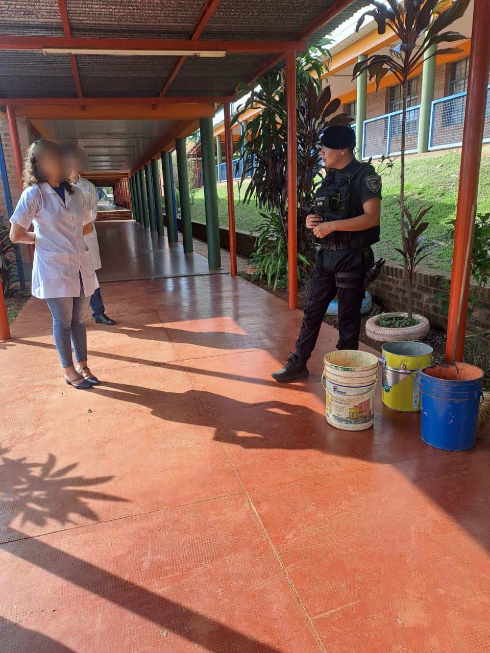 Rescataron una culebra que apareció dentro de una escuela en Oberá 2